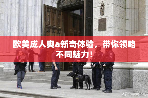 欧美成人爽a新奇体验，带你领略不同魅力！