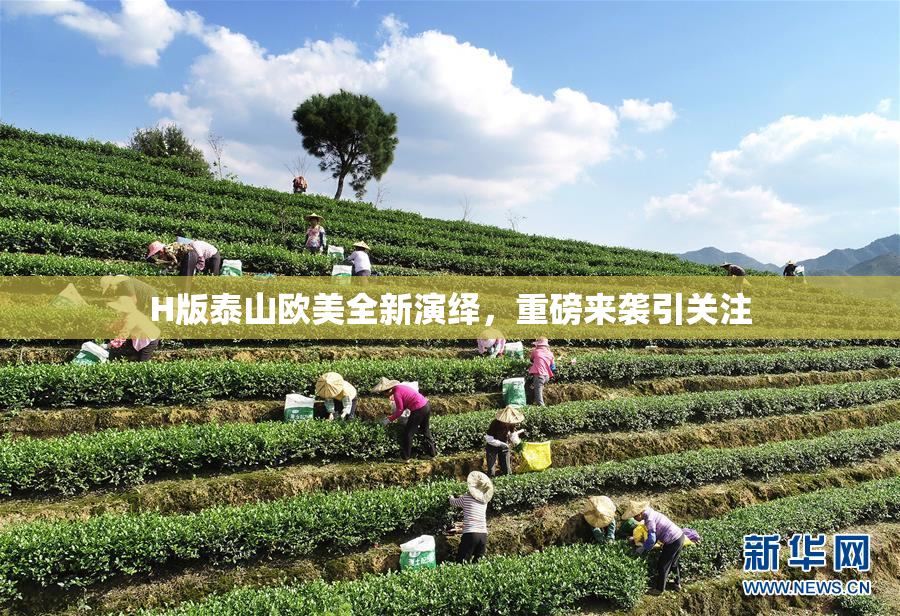 H版泰山欧美全新演绎，重磅来袭引关注