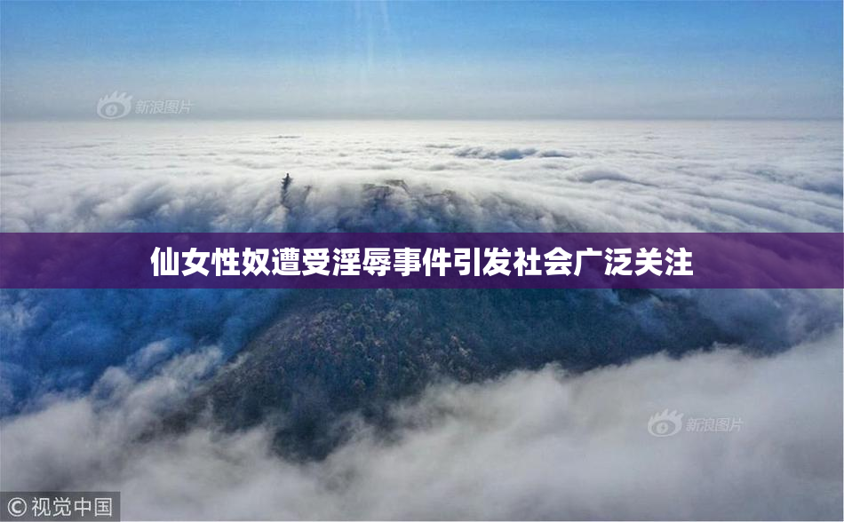 仙女性奴遭受淫辱事件引发社会广泛关注