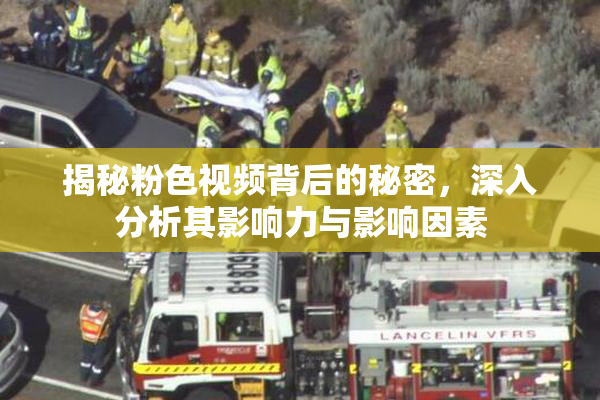 揭秘粉色视频背后的秘密，深入分析其影响力与影响因素