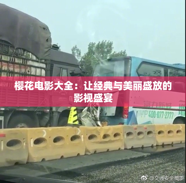 樱花电影大全：让经典与美丽盛放的影视盛宴
