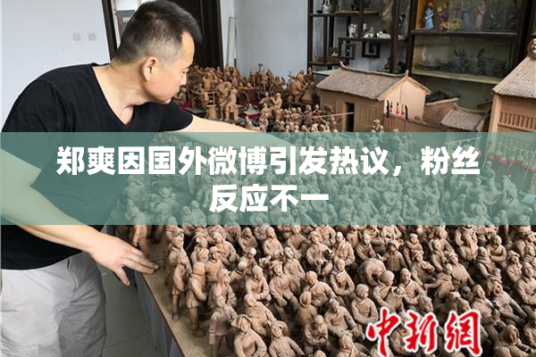 郑爽因国外微博引发热议，粉丝反应不一