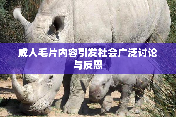 成人毛片内容引发社会广泛讨论与反思