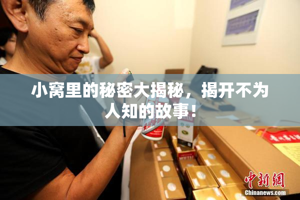 小窝里的秘密大揭秘，揭开不为人知的故事！