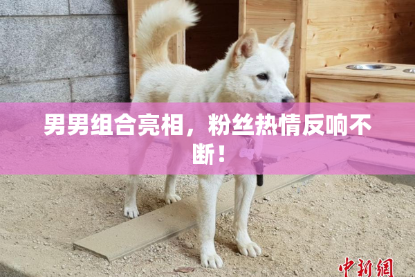 男男组合亮相，粉丝热情反响不断！