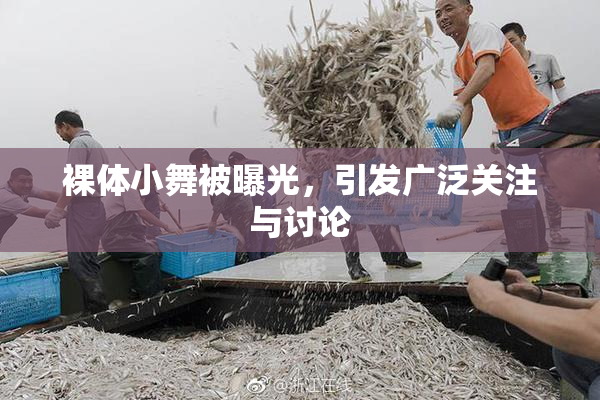 裸体小舞被曝光，引发广泛关注与讨论