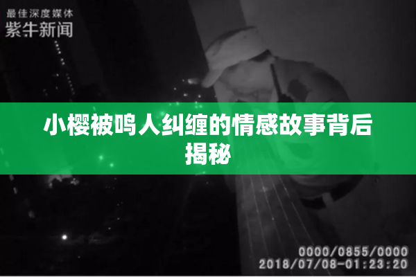 小樱被鸣人纠缠的情感故事背后揭秘