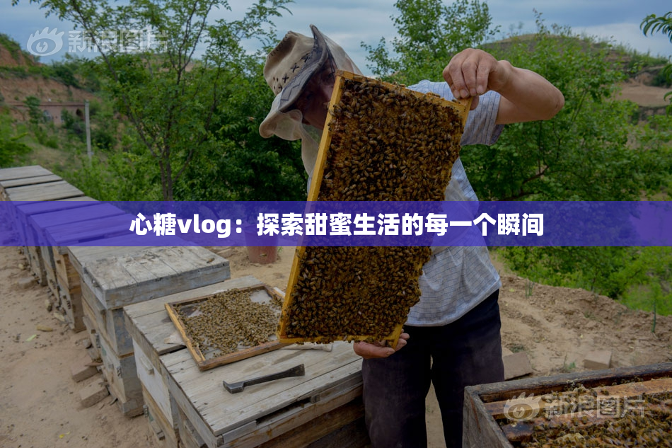 心糖vlog：探索甜蜜生活的每一个瞬间