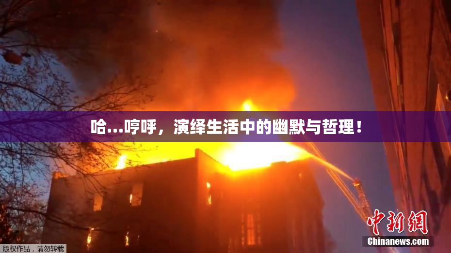 哈…哼呼，演绎生活中的幽默与哲理！