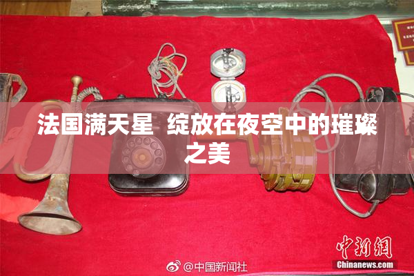 法国满天星  绽放在夜空中的璀璨之美