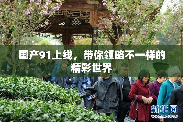 国产91上线，带你领略不一样的精彩世界