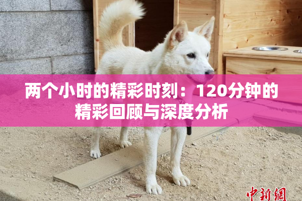 两个小时的精彩时刻：120分钟的精彩回顾与深度分析
