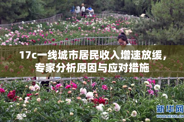 17c一线城市居民收入增速放缓，专家分析原因与应对措施
