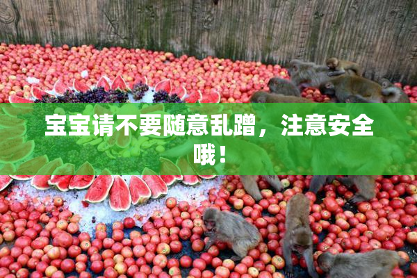 宝宝请不要随意乱蹭，注意安全哦！