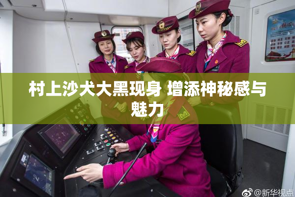 村上沙犬大黑现身 增添神秘感与魅力