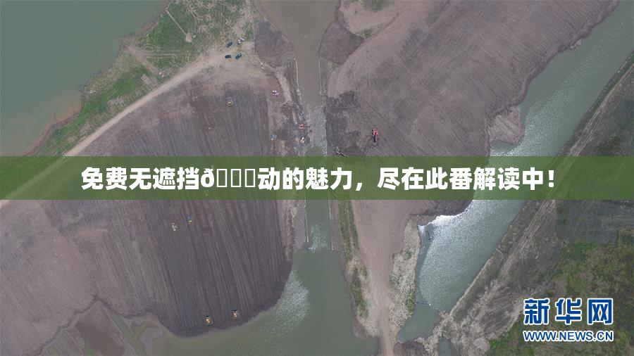 免费无遮挡🔞动的魅力，尽在此番解读中！