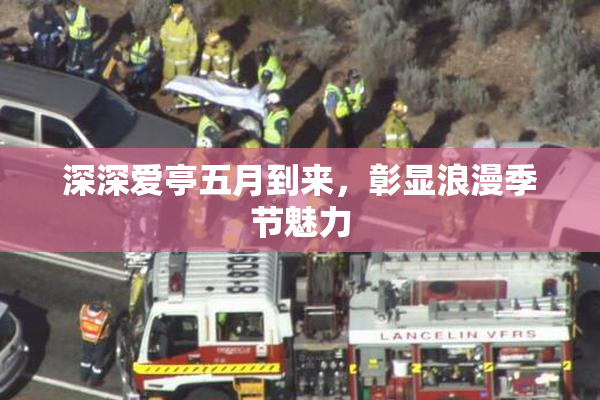 深深爱亭五月到来，彰显浪漫季节魅力