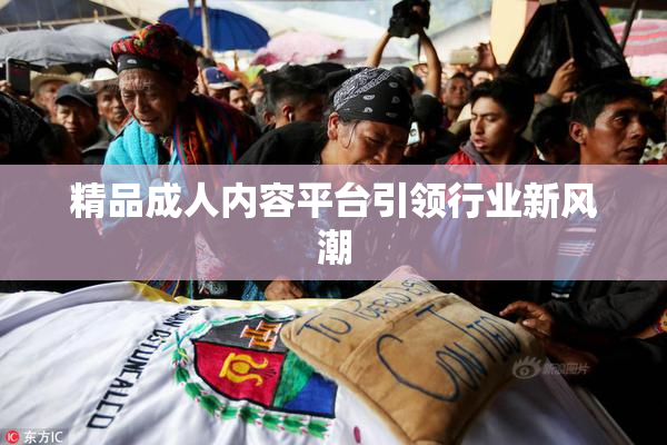 精品成人内容平台引领行业新风潮