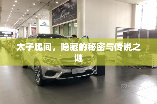 太子腿间，隐藏的秘密与传说之谜