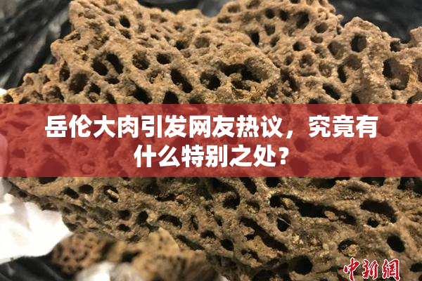 岳伦大肉引发网友热议，究竟有什么特别之处？