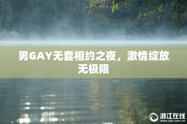 男GAY无套相约之夜，激情绽放无极限