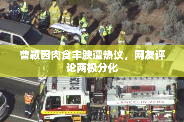 曹颖因肉食丰腴遭热议，网友评论两极分化