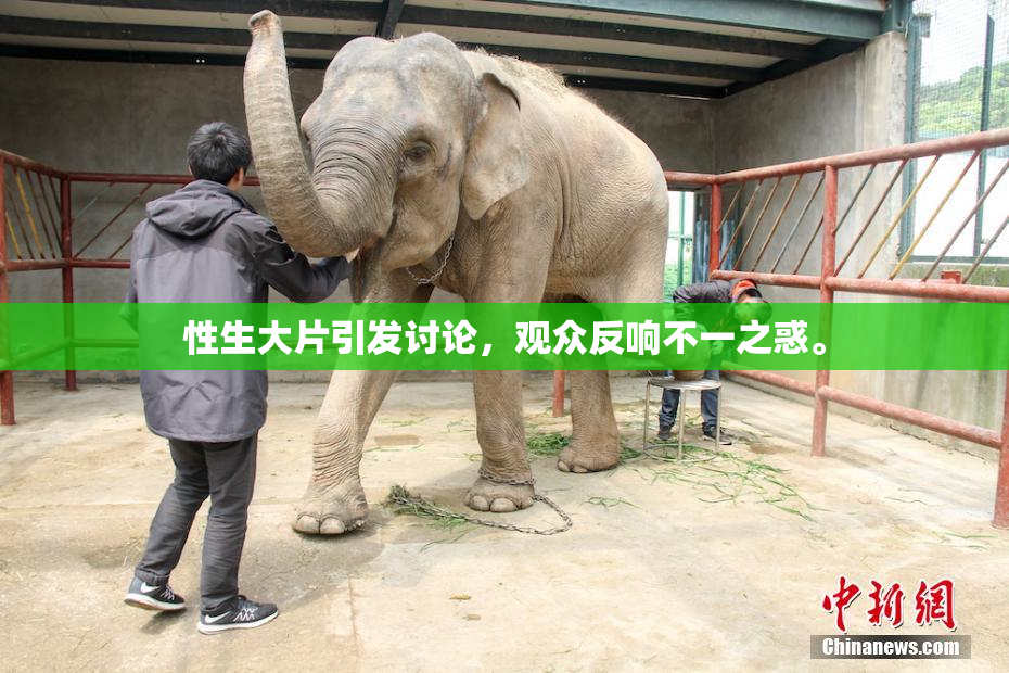 性生大片引发讨论，观众反响不一之惑。