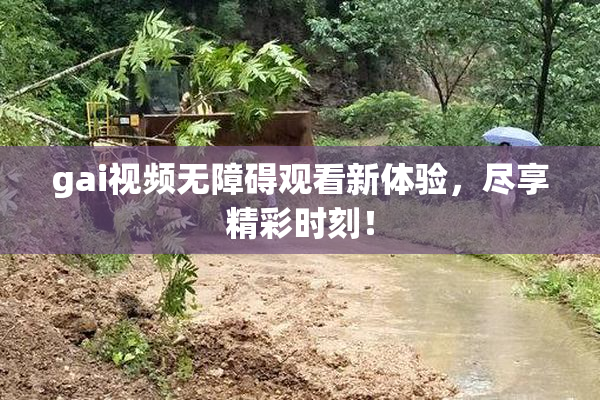 gai视频无障碍观看新体验，尽享精彩时刻！