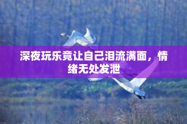深夜玩乐竟让自己泪流满面，情绪无处发泄