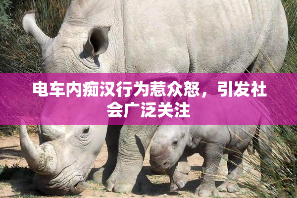电车内痴汉行为惹众怒，引发社会广泛关注