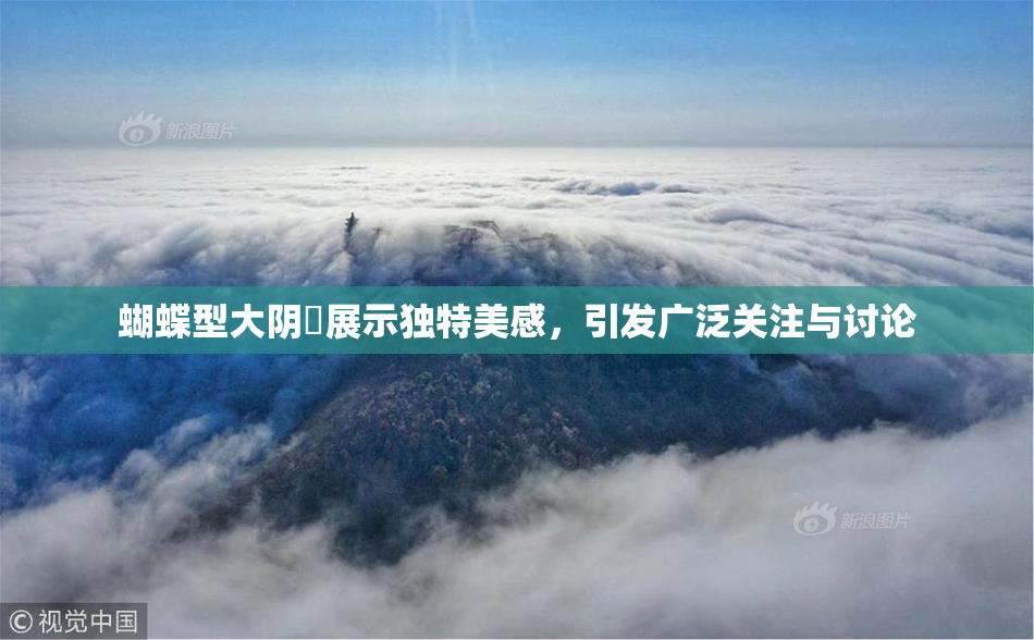 蝴蝶型大阴脣展示独特美感，引发广泛关注与讨论