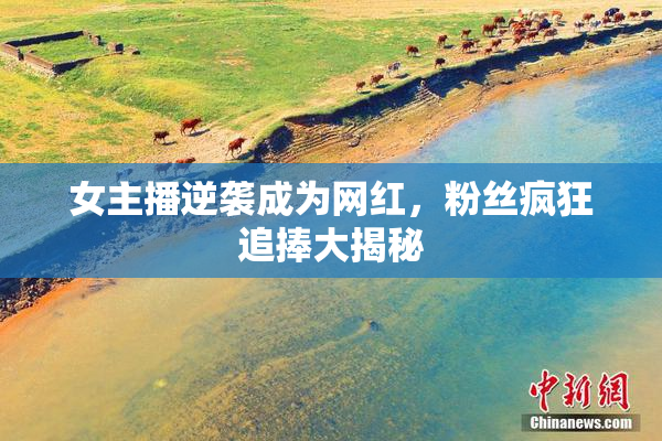 女主播逆袭成为网红，粉丝疯狂追捧大揭秘