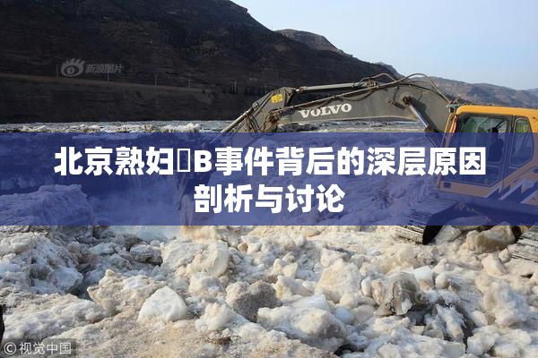 北京熟妇槡B事件背后的深层原因剖析与讨论