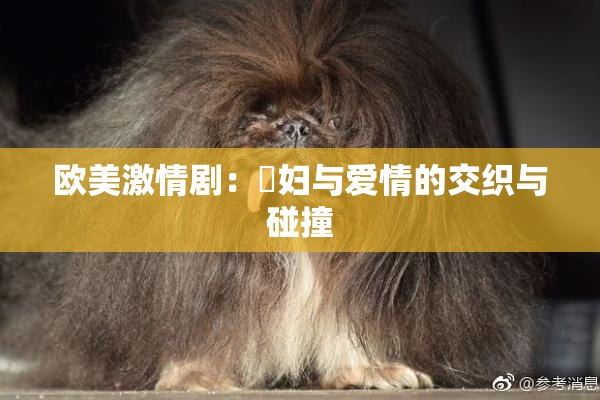欧美激情剧：婬妇与爱情的交织与碰撞