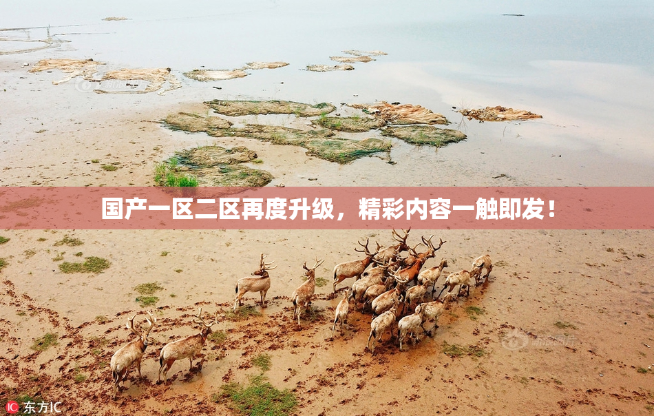 国产一区二区再度升级，精彩内容一触即发！