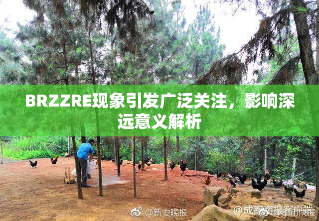 BRZZRE现象引发广泛关注，影响深远意义解析