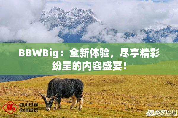 BBWBig：全新体验，尽享精彩纷呈的内容盛宴！