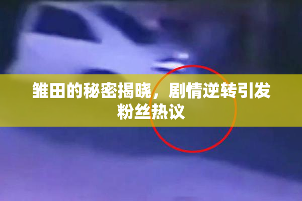雏田的秘密揭晓，剧情逆转引发粉丝热议
