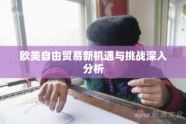 欧美自由贸易新机遇与挑战深入分析