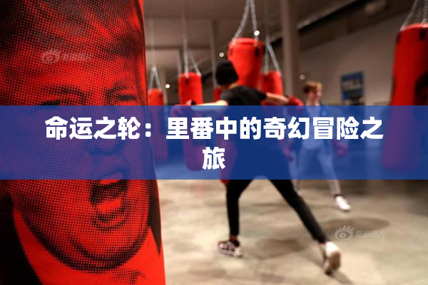 命运之轮：里番中的奇幻冒险之旅