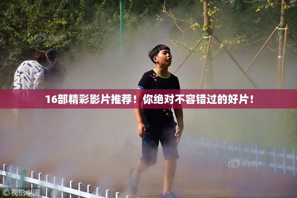 16部精彩影片推荐！你绝对不容错过的好片！