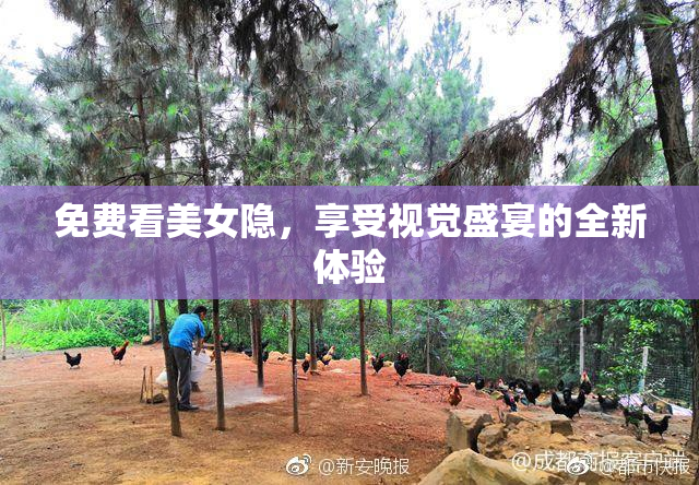 免费看美女隐，享受视觉盛宴的全新体验