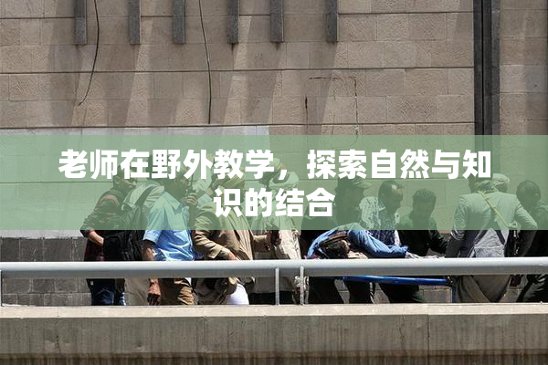老师在野外教学，探索自然与知识的结合