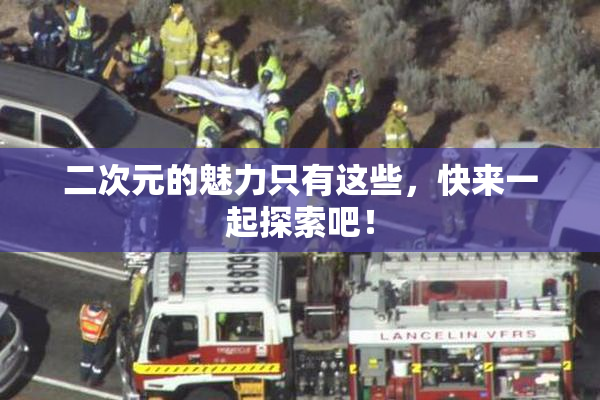 二次元的魅力只有这些，快来一起探索吧！