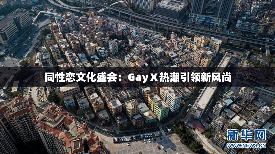 同性恋文化盛会：GayⅩ热潮引领新风尚