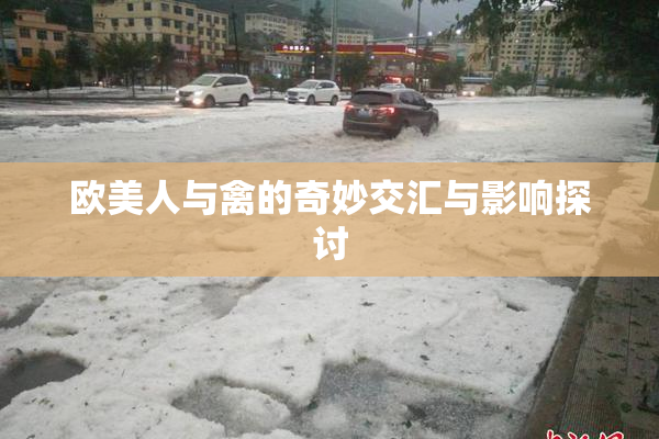 欧美人与禽的奇妙交汇与影响探讨