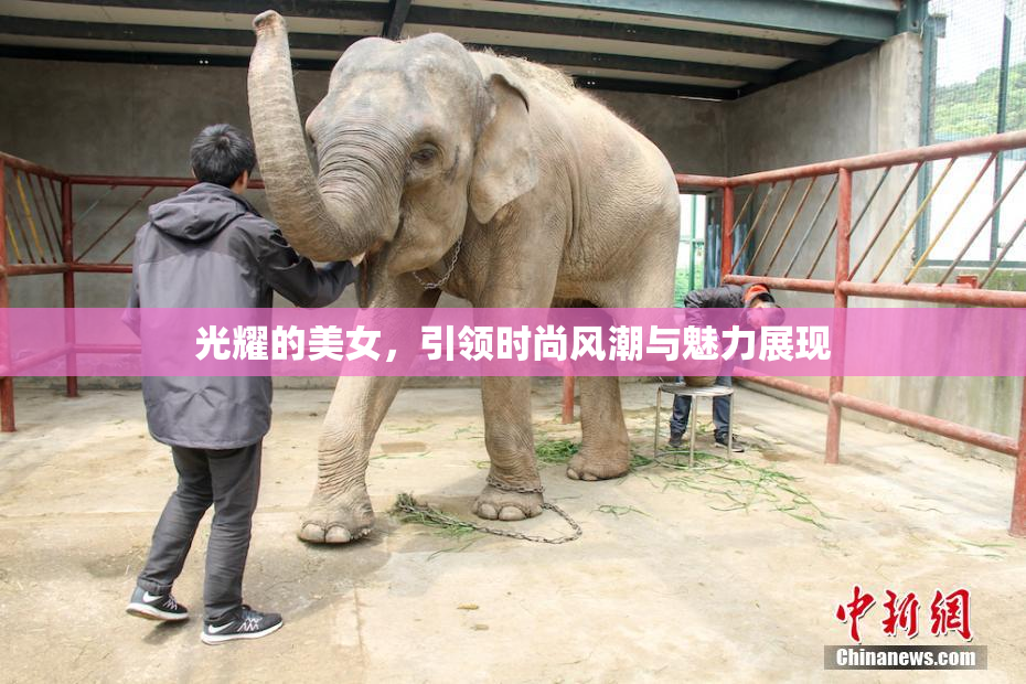 光耀的美女，引领时尚风潮与魅力展现