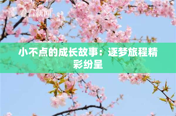 小不点的成长故事：逐梦旅程精彩纷呈
