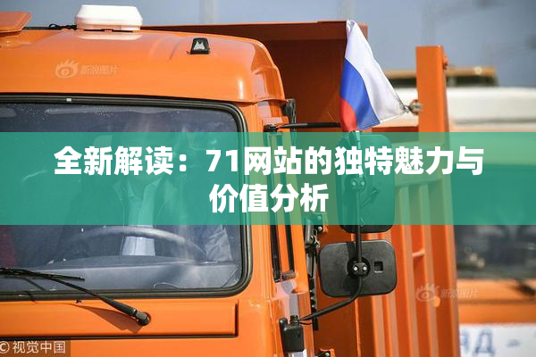 全新解读：71网站的独特魅力与价值分析