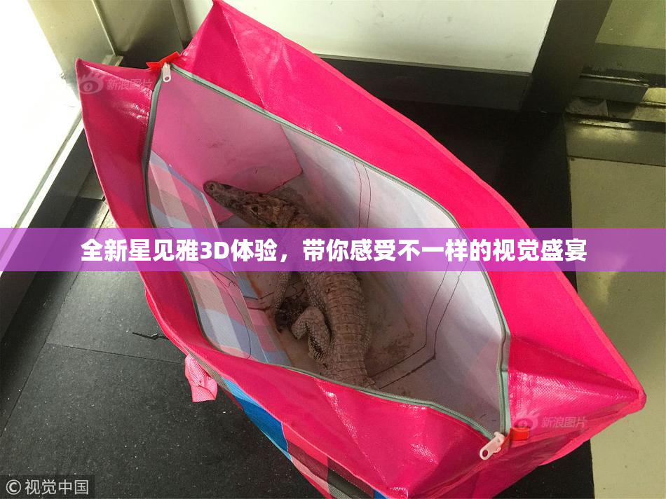 全新星见雅3D体验，带你感受不一样的视觉盛宴